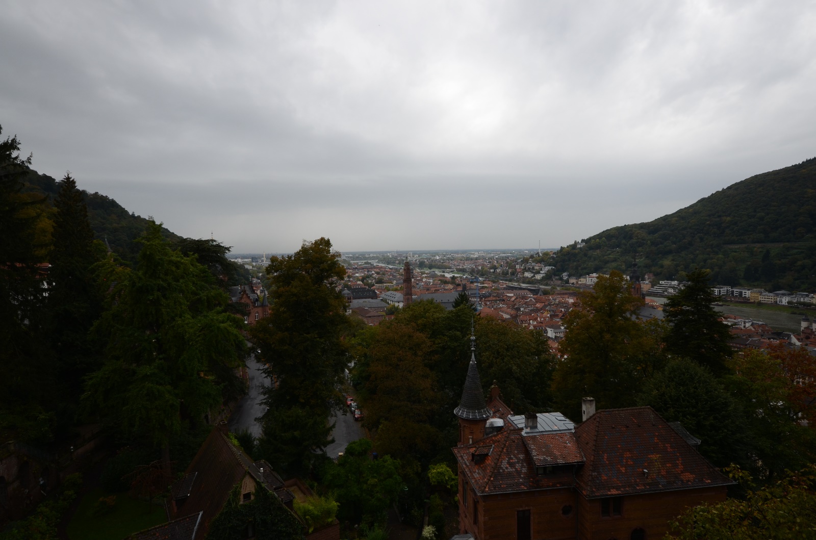 Heidelberg & Speyer